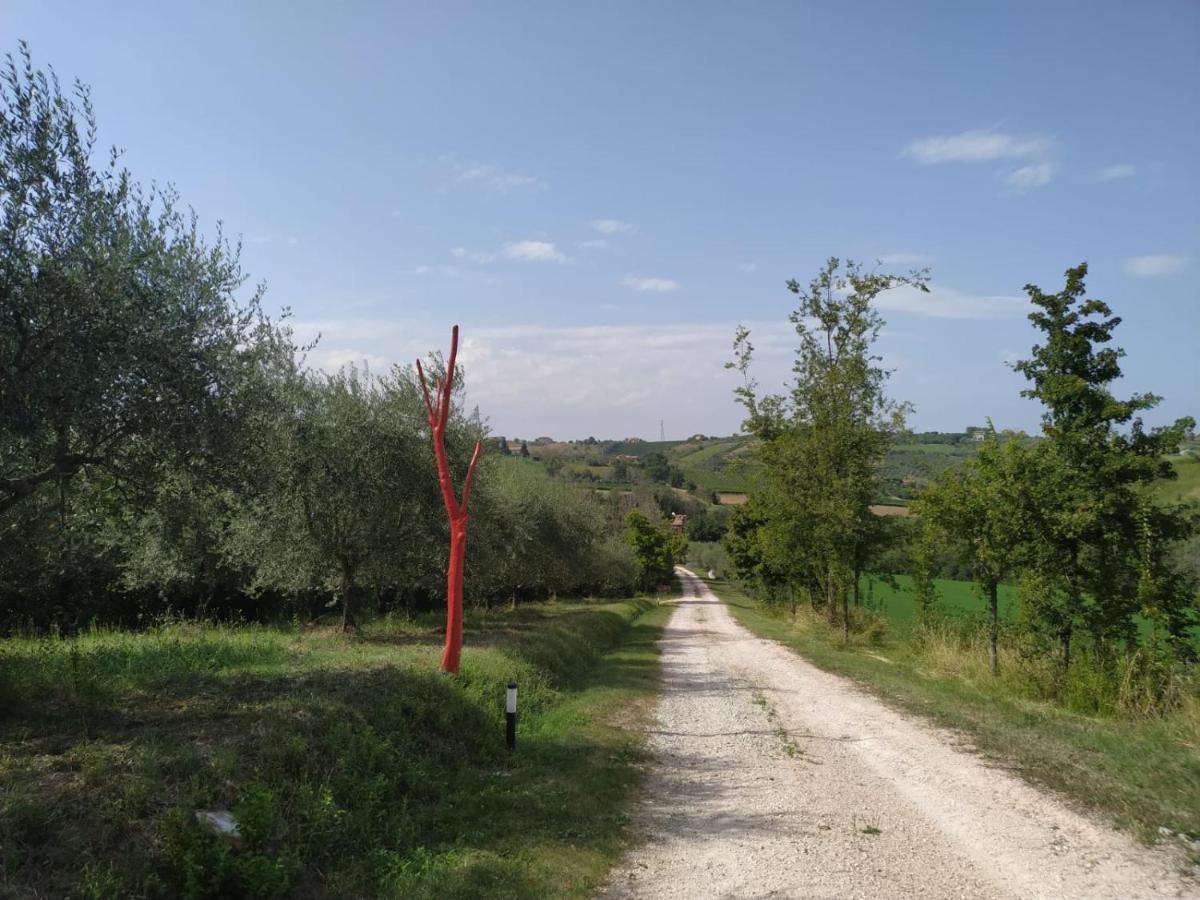 La Silvana B&B Coriano Luaran gambar